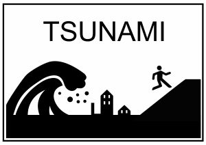 Qué hacer ante un Tsunami Qué hacer ante un Tsunami